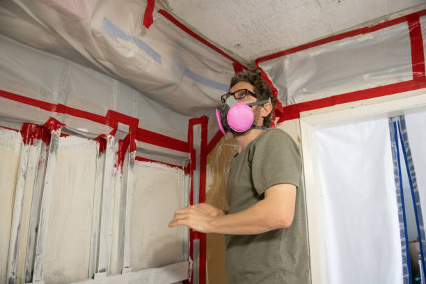 Best Emergency Mold Remediation  in USA